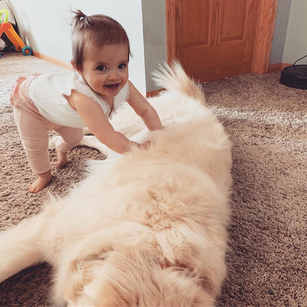 Meet your Posher, Michael